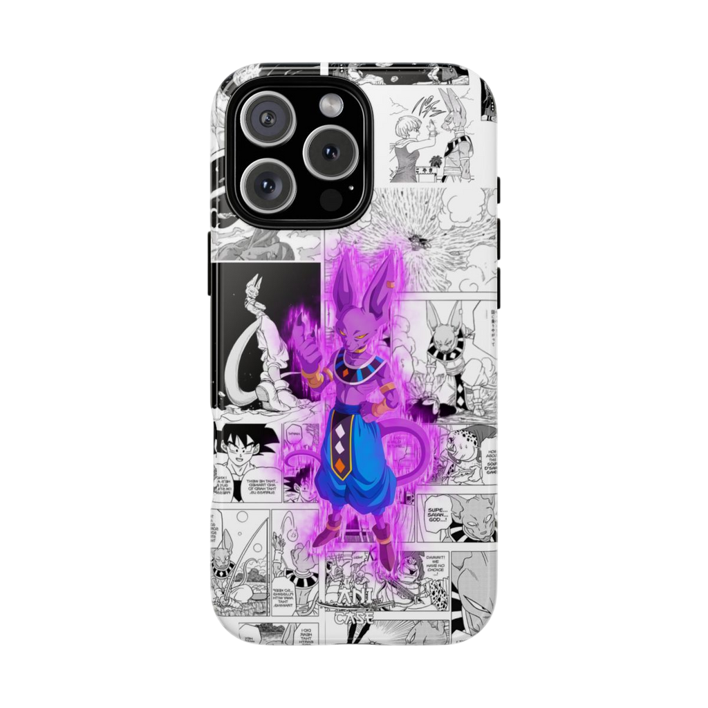 BEERUS HISTORY